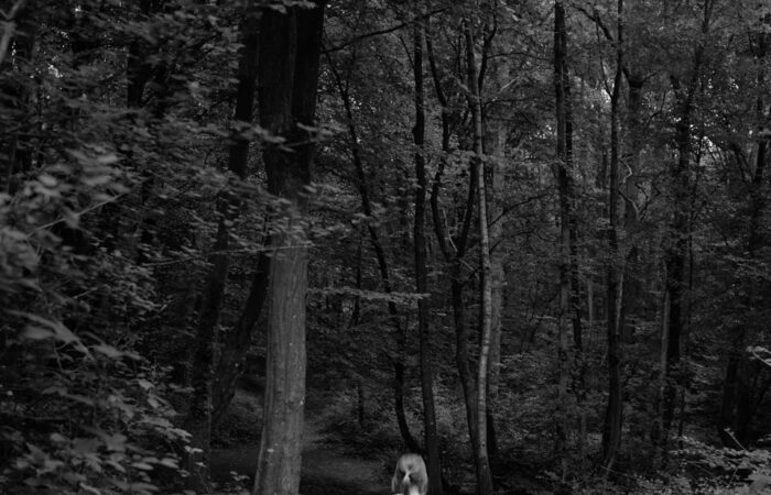 A girl in a white dress walks through a serene forest, capturing a moment of exploration and wonder.