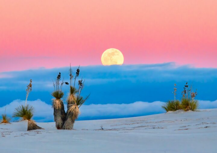 white sand