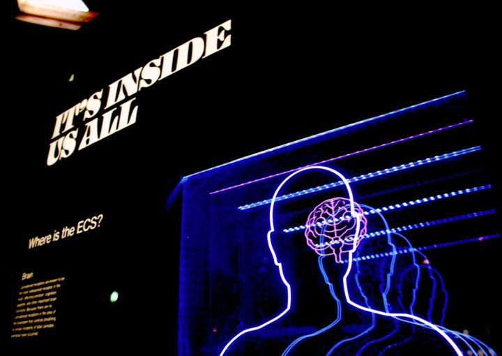 a neon display of a man's head and brain