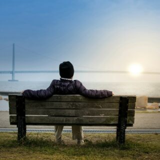 person sitting on bench facing suspension bridge