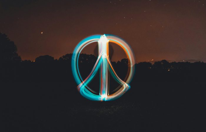 long exposure photography of trees