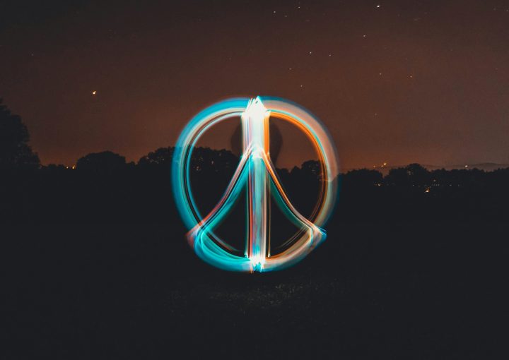 long exposure photography of trees
