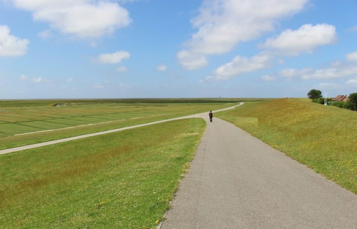 person walking on road