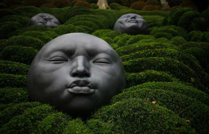 face decoration on green grass