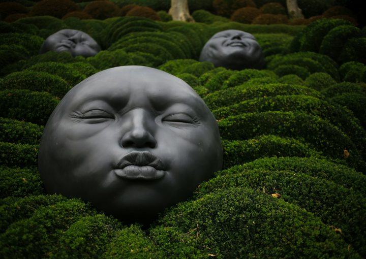 face decoration on green grass