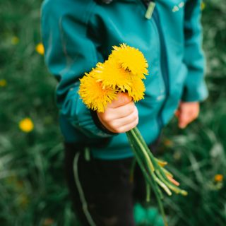 person in blue jacket holding yellow flower
