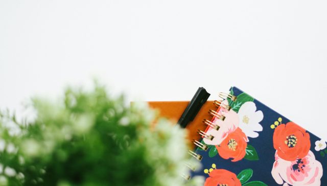 green plant on red and white floral table