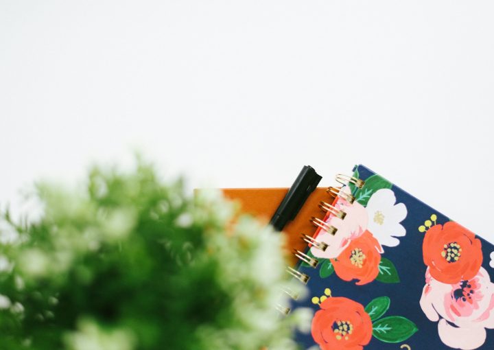 green plant on red and white floral table
